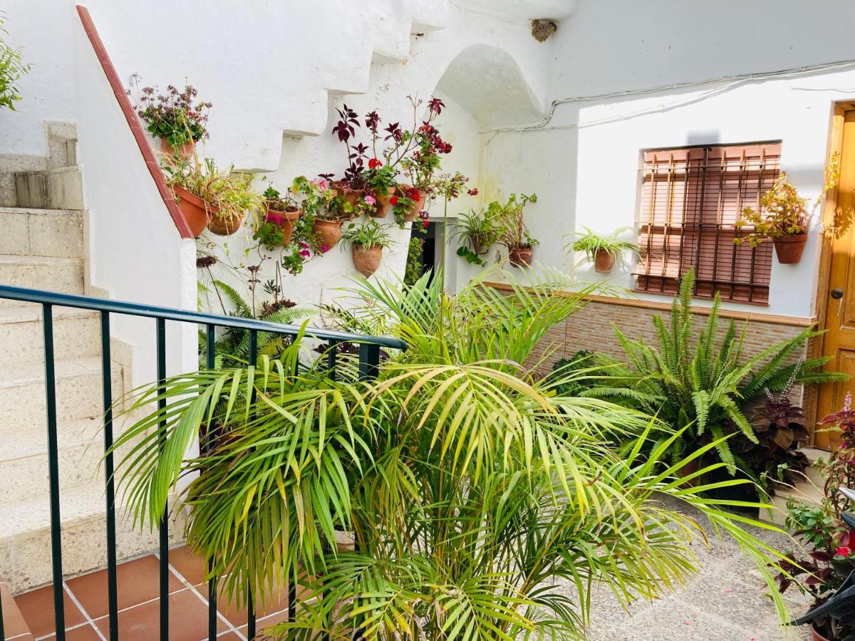 Apartamento Conil Centro Conil De La Frontera Exterior foto